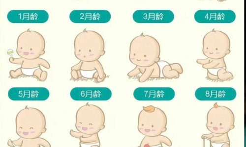 椰子油 饱和脂肪-饱和脂肪酸椰子油网 - 网站提供椰子油 饱和脂肪小常识、椰子油是饱和还是不饱和